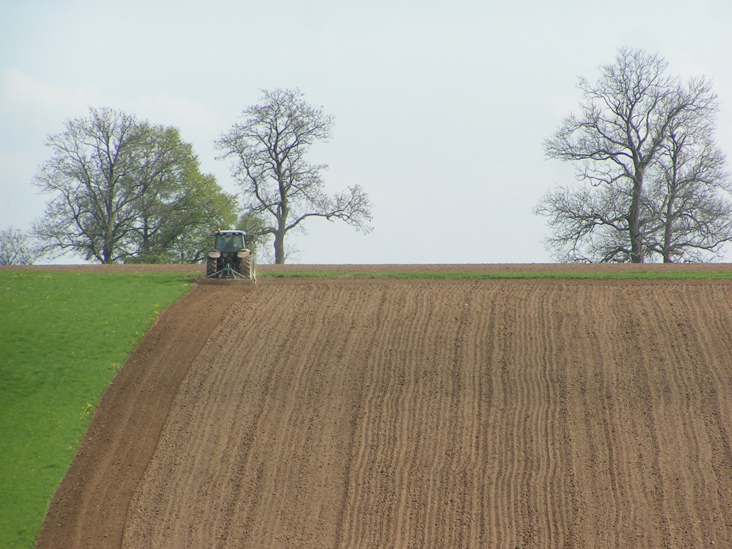 agriculture