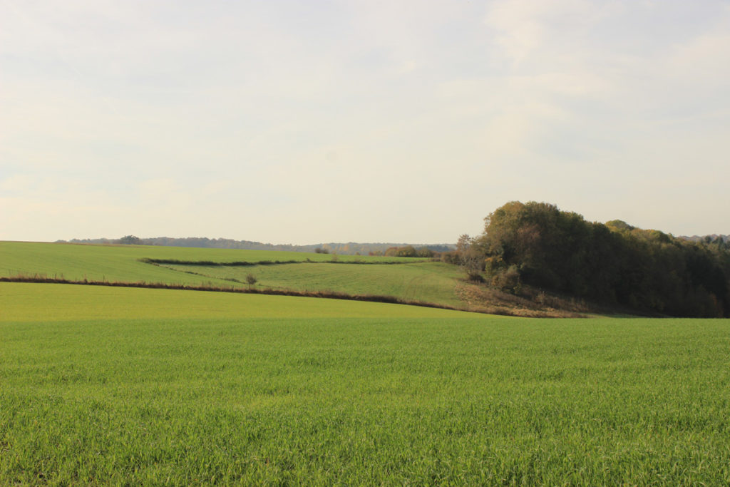 paysage agriculture wallonie