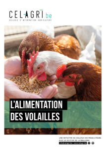 Les Bases De L’alimentation Des Volailles Et Les Voies D’amélioration ...