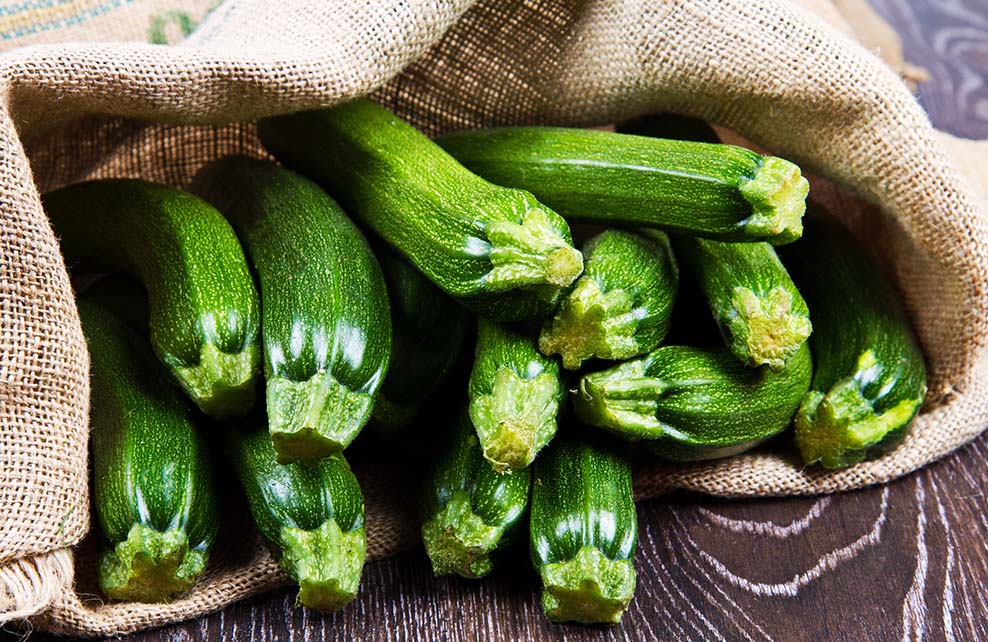 courgettes-bio-celagri